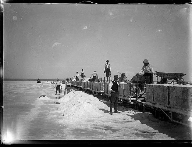 Trabajadores de  la Sal