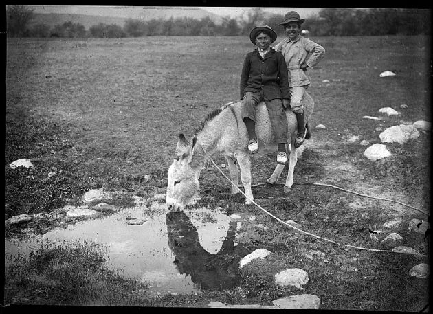 Jóvenes con su burrito