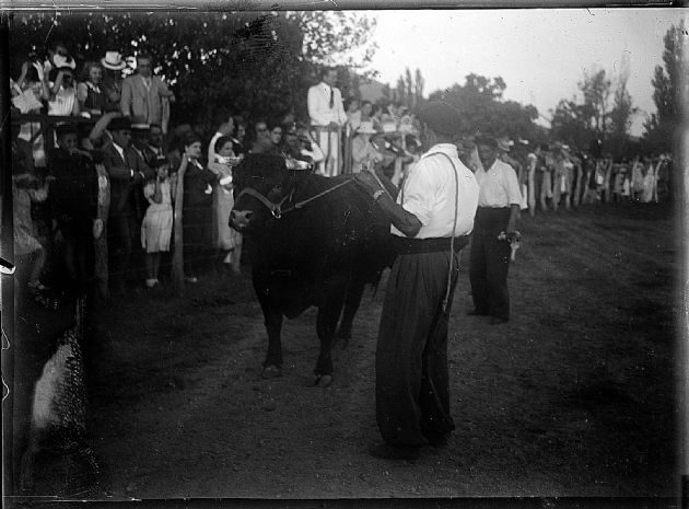 Exhibición ruralista