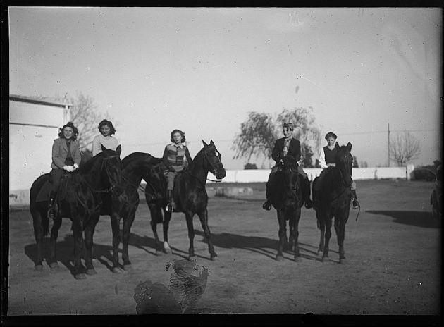 Paseos a Caballo 5
