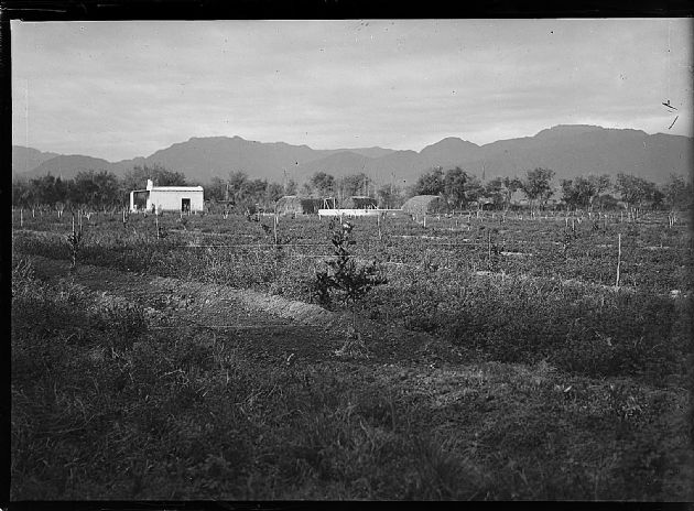 Paisaje Rural
