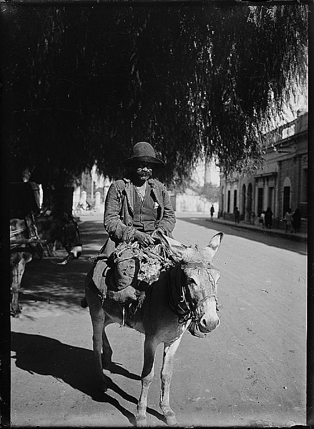 Vendedor Ambulante