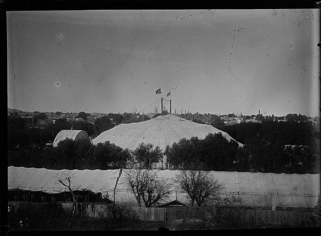 Circo