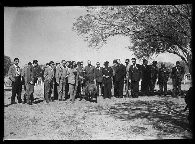 Zootécnica Provincial 1