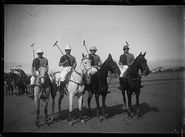 POLO