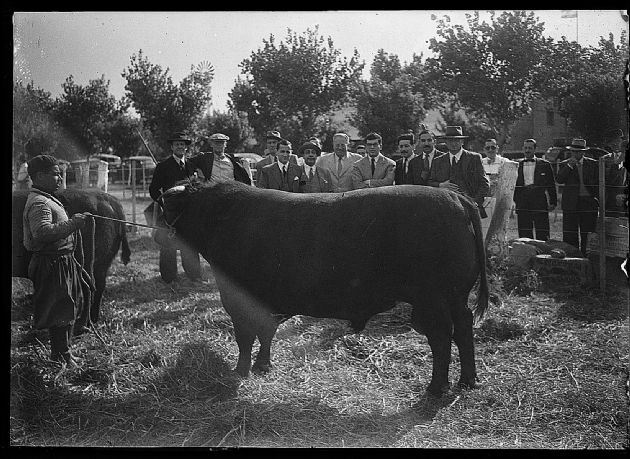 Sociedad Rural 6