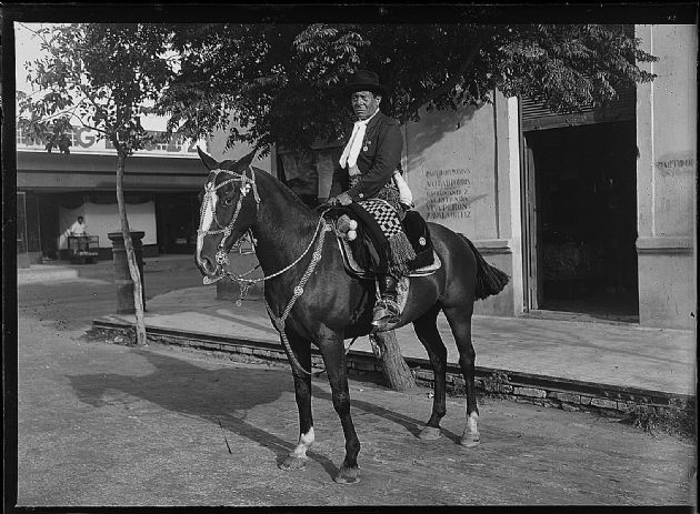 Gaucho 3