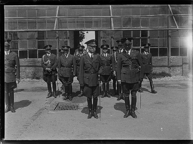 Inspecciones Militares VII