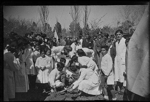 Reforestación