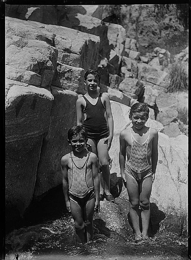 Paseando por el Campo III