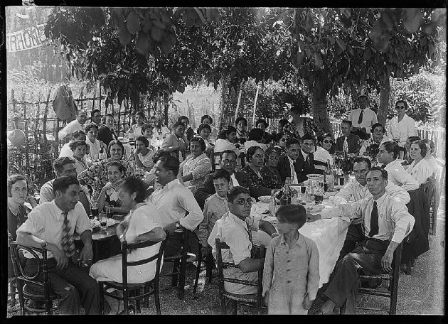 Almuerzo al Aire Libre I