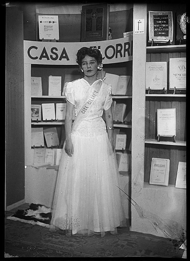 Exposición Comercial 24