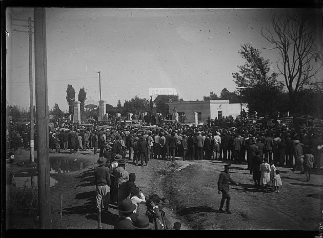 Carrera de Autos VII