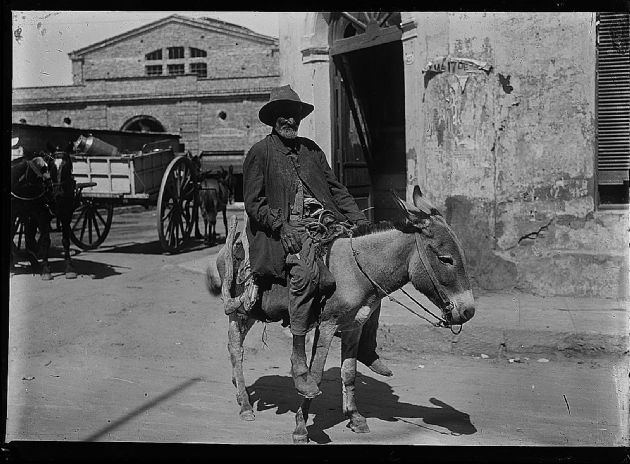 Hombre Montado en Burro