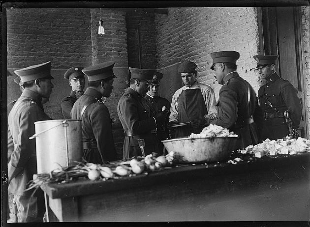 Inspecciones Militares XIV