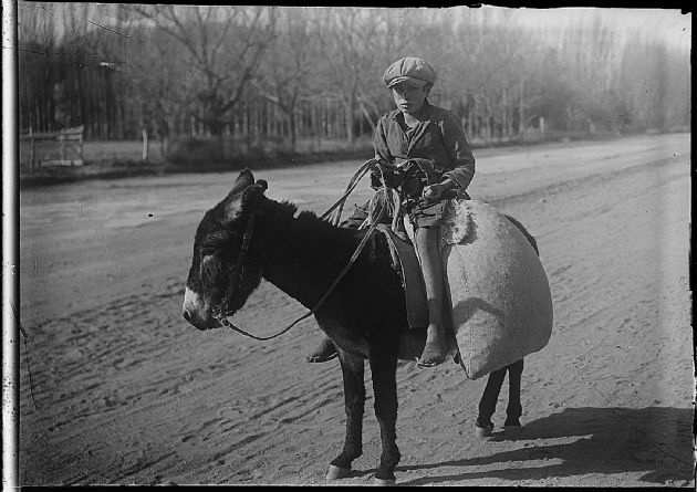 Niño Montado en Burro