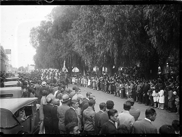 Desfile Cívico Militar IV