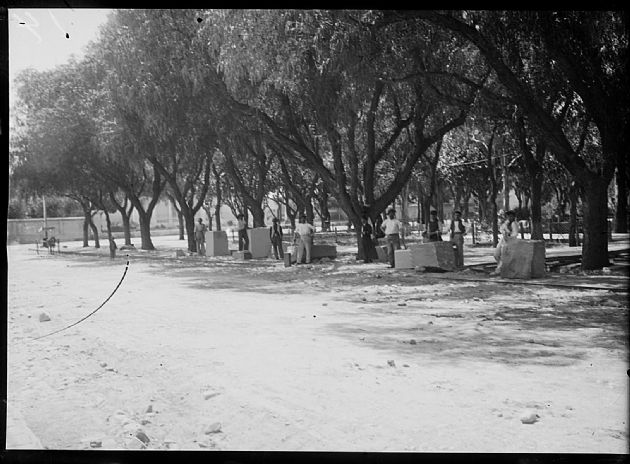 Trabajando en una Plaza