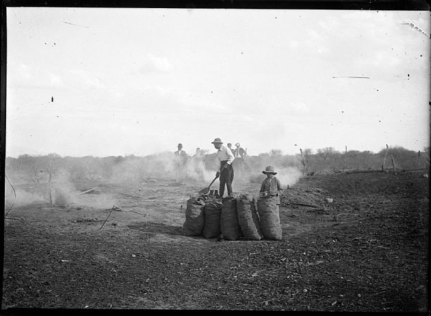 Trabajo de Campo