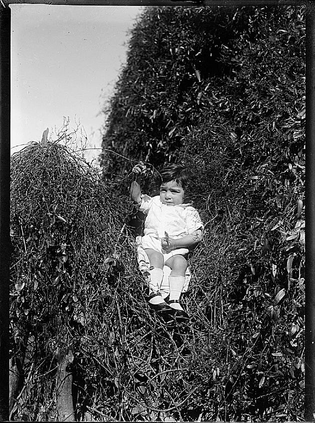 Retrato Infantil