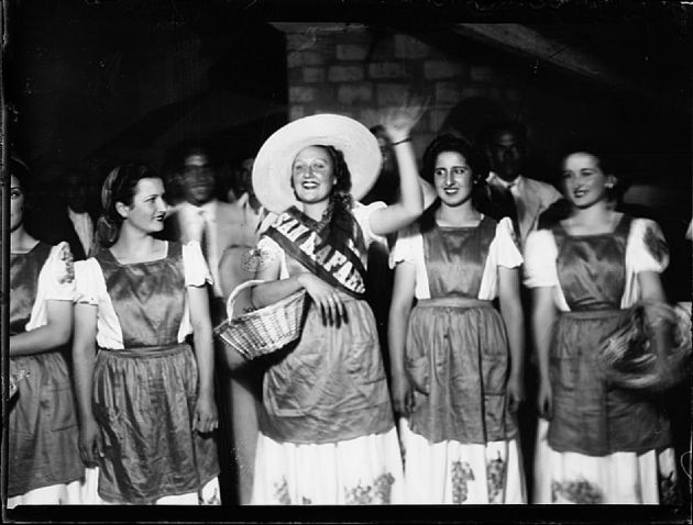 Fiesta de la Vendimia II
