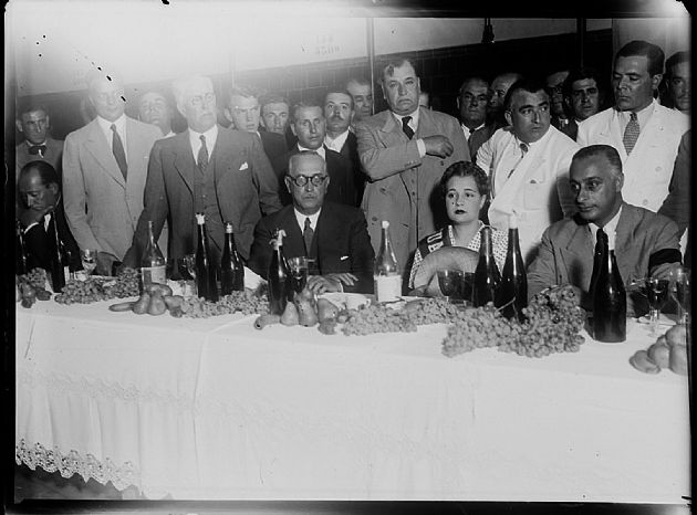 Fiesta de la Vendimia IV