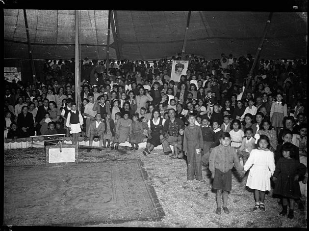 El Circo Visita San Luis