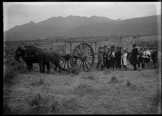 Carro Tirado por Mulas