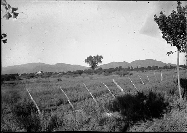 El Campo Puntano