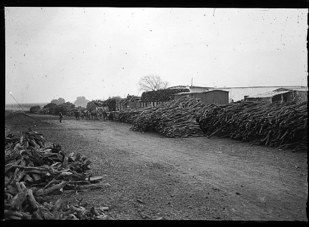 Acopio de Leña