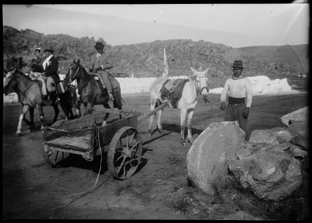 Escena Rural