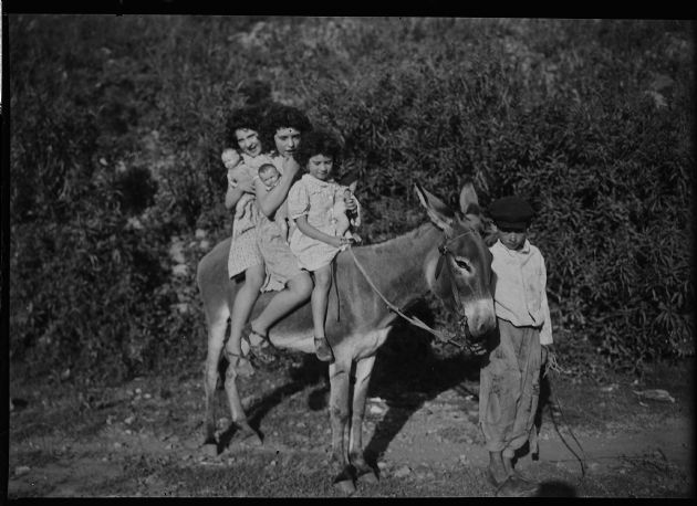Paseo en Burro