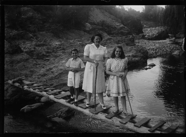 Paseando por el Campo III