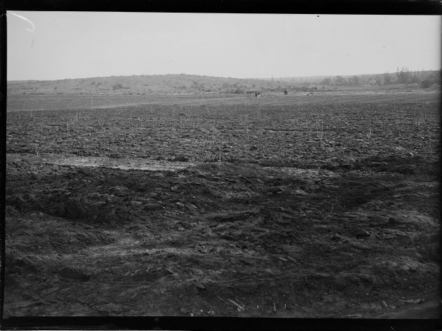 Obras del 1º Gobernador Peronista I