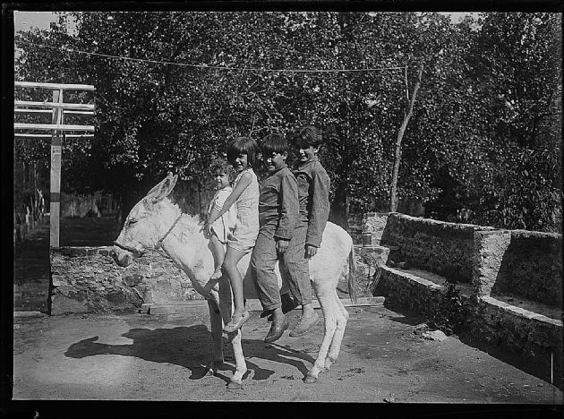 Cuatro Jinetes en Burro.