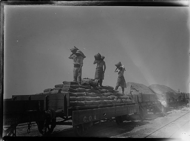 TRABAJADORES DESCARGANDO BOLSAS DE PAPA