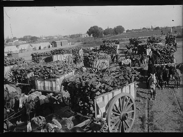 Carros con Leña