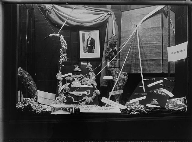 Consorcio Técnico Industrial Financiero 5.