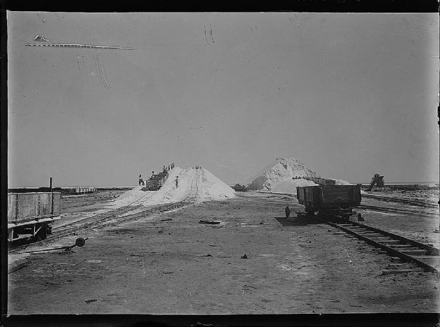 TRABAJADORES SALEROS