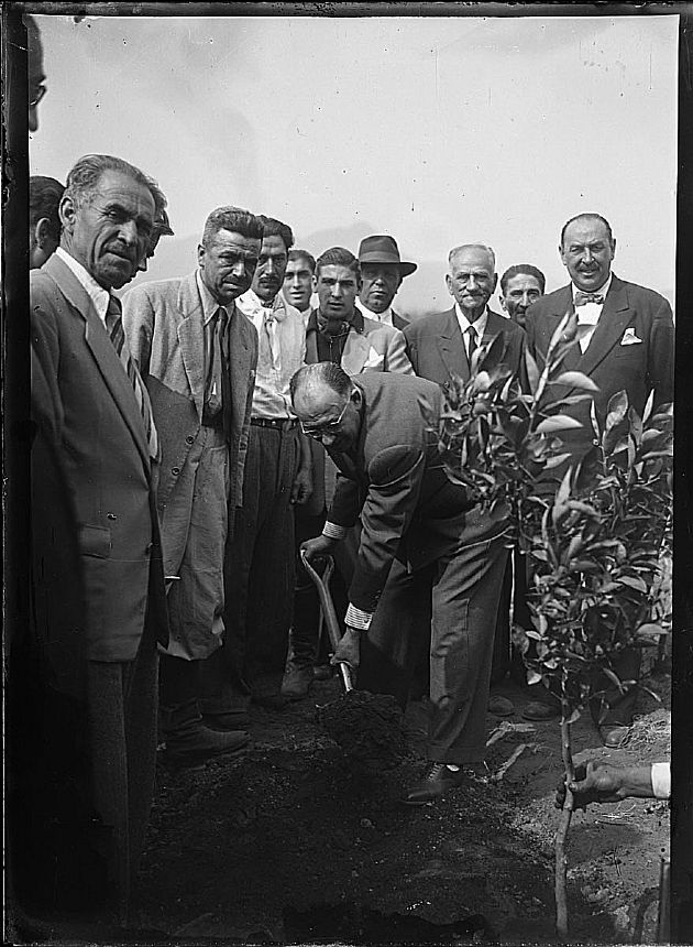 Campaña Forestal 3.