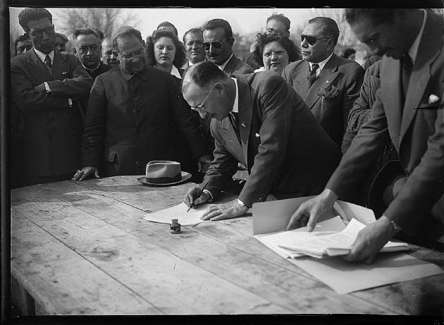 Campaña Forestal 5.