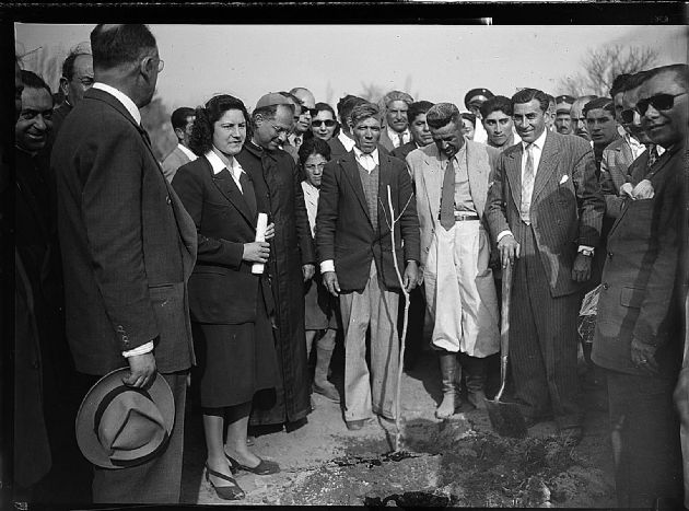 Campaña Forestal 7.