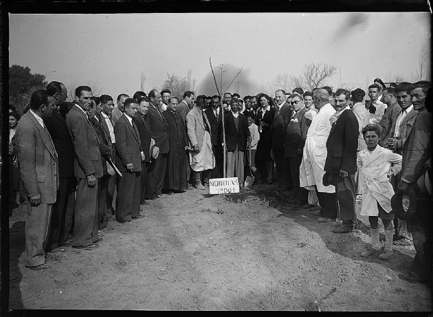 Campaña Forestal 8.