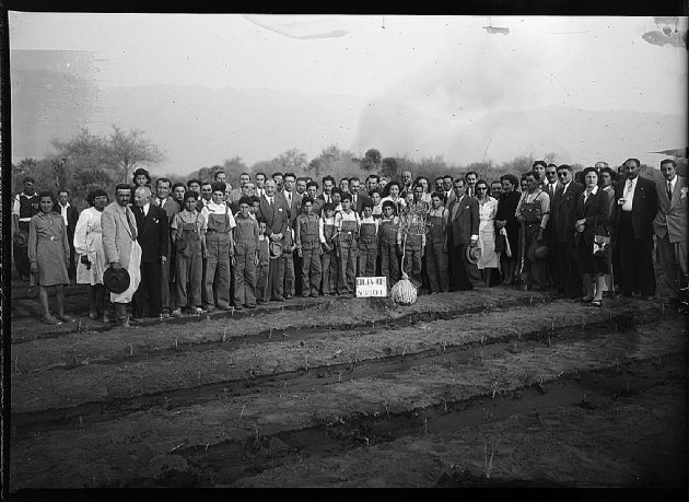 Campaña Forestal 9.