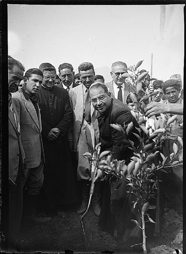 Campaña Forestal  1