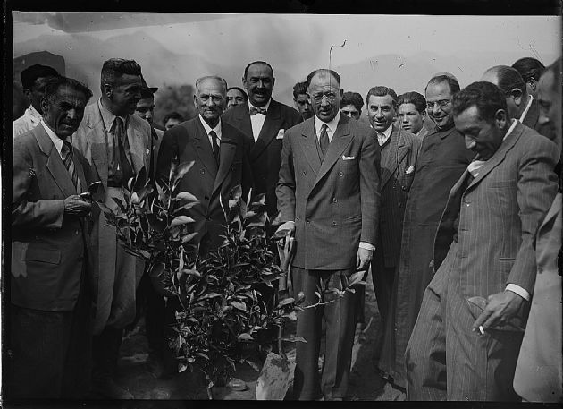 Campaña Forestal  2