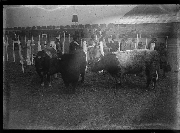 Sociedad Rural 1