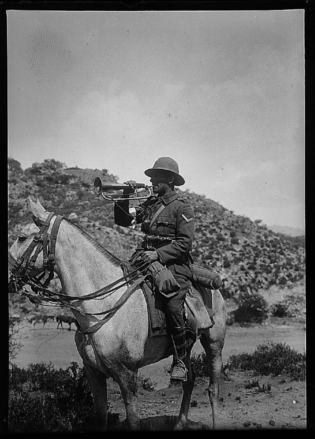 Maniobras Militares
