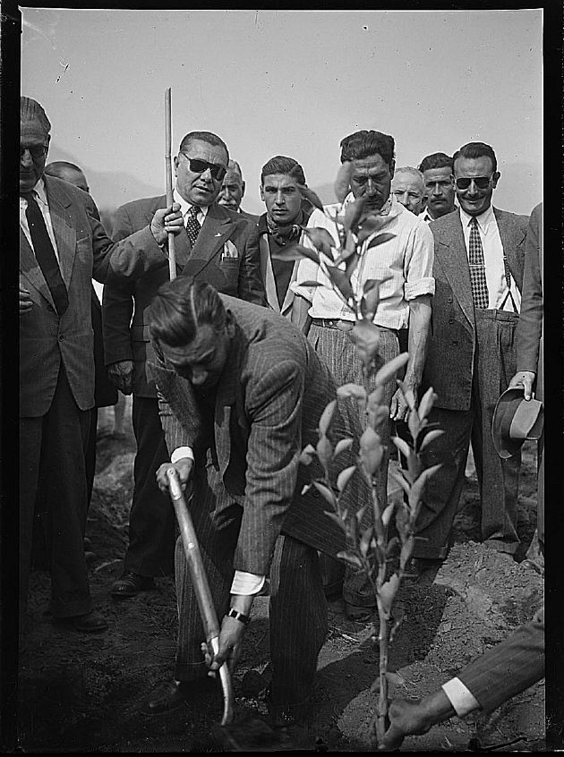 Visita Institucional XII