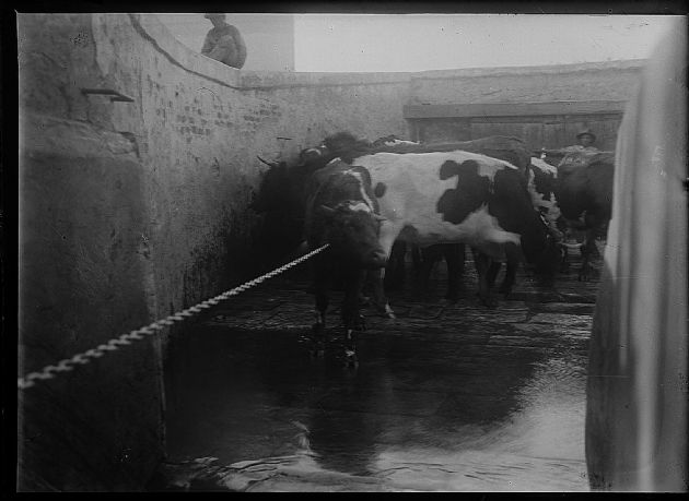 Matadero III